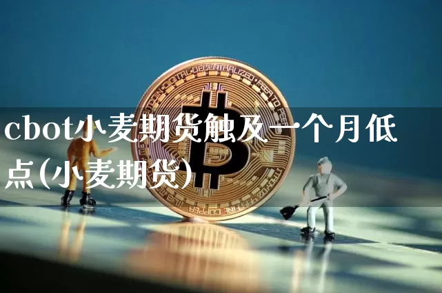 cbot小麦期货触及一个月低点(小麦期货)_https://m.zghnxxa.com_股指期货_第1张