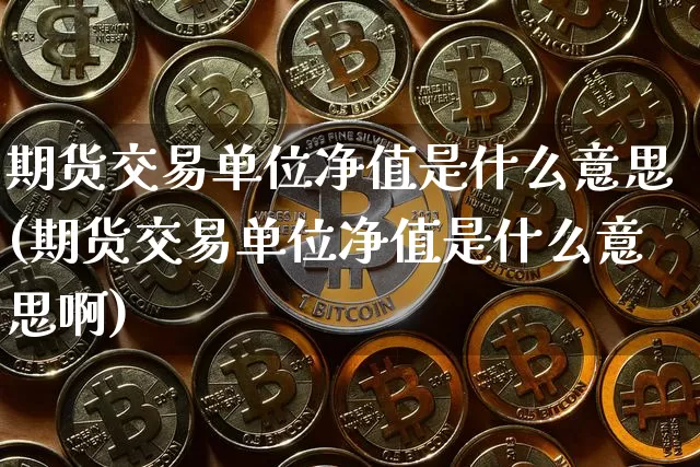期货交易单位净值是什么意思(期货交易单位净值是什么意思啊)_https://m.zghnxxa.com_期货资讯_第1张