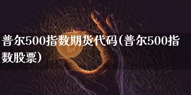 普尔500指数期货代码(普尔500指数股票)_https://m.zghnxxa.com_原油直播_第1张