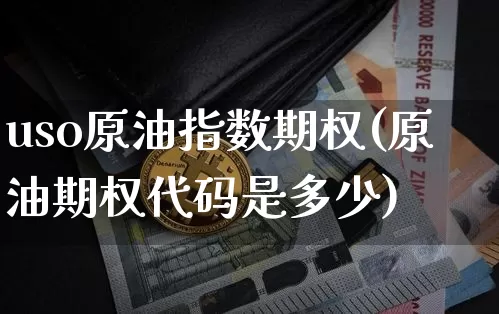 uso原油指数期权(原油期权代码是多少)_https://m.zghnxxa.com_恒指期货_第1张
