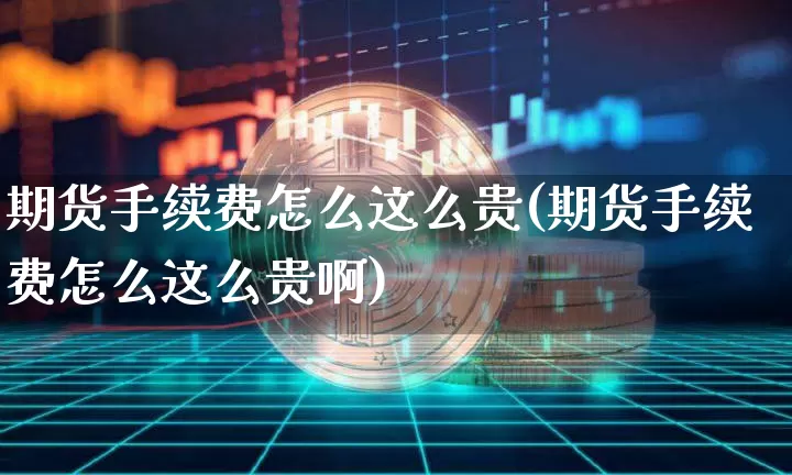 期货手续费怎么这么贵(期货手续费怎么这么贵啊)_https://m.zghnxxa.com_股指期货_第1张