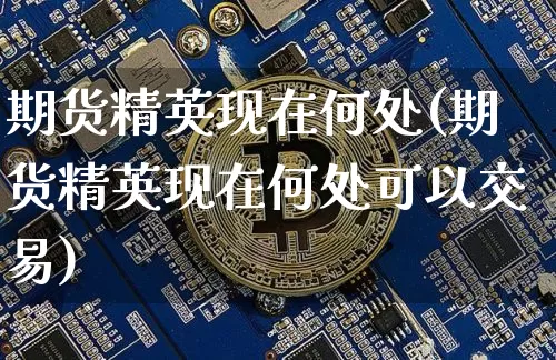 期货精英现在何处(期货精英现在何处可以交易)_https://m.zghnxxa.com_期货资讯_第1张