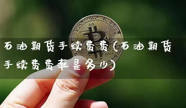 石油期货手续费费(石油期货手续费费率是多少)_https://m.zghnxxa.com_股指期货_第1张