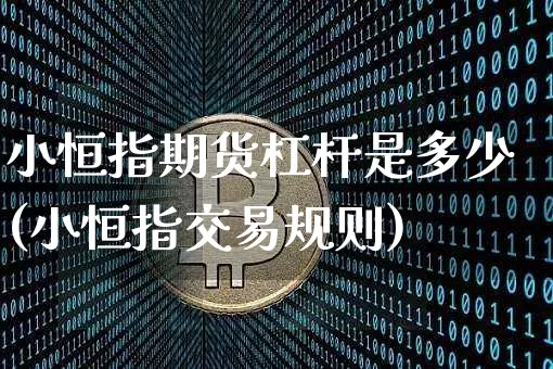 小恒指期货杠杆是多少(小恒指交易规则)_https://m.zghnxxa.com_股指期货_第1张