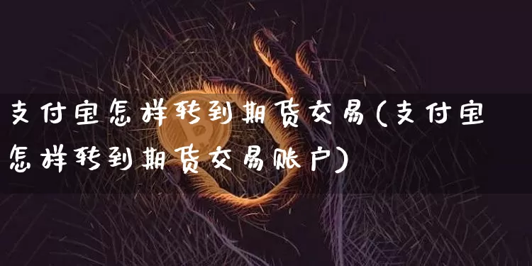 支付宝怎样转到期货交易(支付宝怎样转到期货交易账户)_https://m.zghnxxa.com_期货资讯_第1张