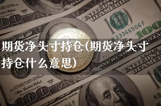 期货净头寸持仓(期货净头寸持仓什么意思)_https://m.zghnxxa.com_期货资讯_第1张