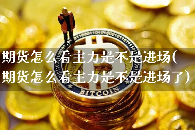 期货怎么看主力是不是进场(期货怎么看主力是不是进场了)_https://m.zghnxxa.com_原油直播_第1张