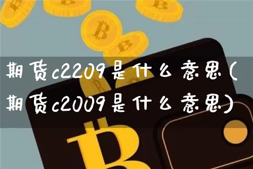 期货c2209是什么意思(期货c2009是什么意思)_https://m.zghnxxa.com_纳指期货_第1张
