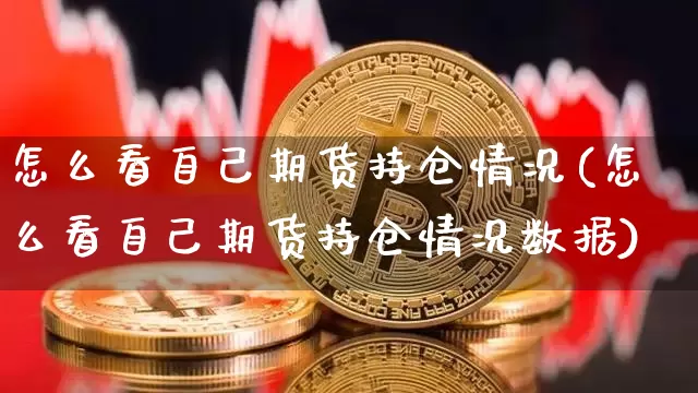 怎么看自己期货持仓情况(怎么看自己期货持仓情况数据)_https://m.zghnxxa.com_黄金直播_第1张