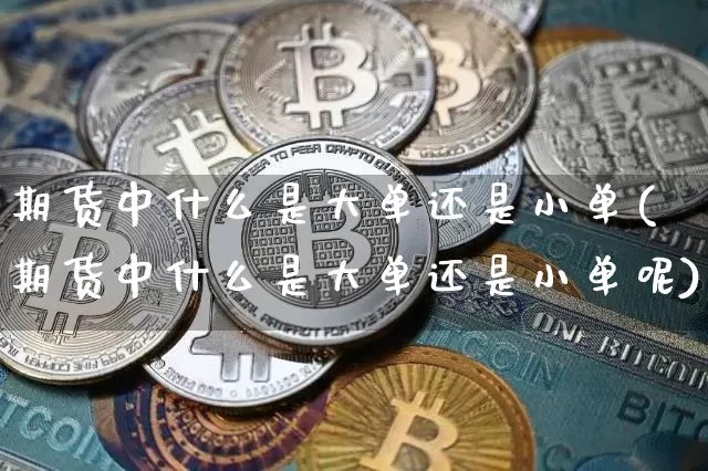 期货中什么是大单还是小单(期货中什么是大单还是小单呢)_https://m.zghnxxa.com_期货资讯_第1张