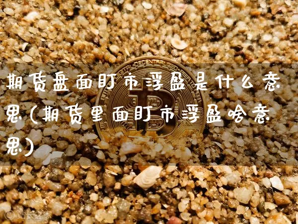 期货盘面盯市浮盈是什么意思(期货里面盯市浮盈啥意思)_https://m.zghnxxa.com_黄金直播_第1张