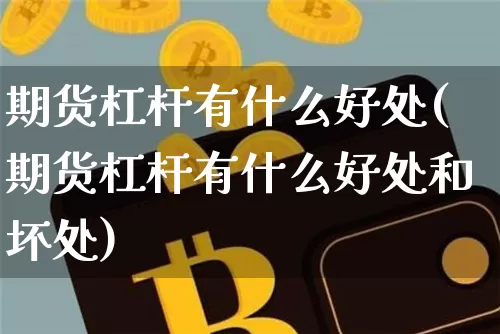 期货杠杆有什么好处(期货杠杆有什么好处和坏处)_https://m.zghnxxa.com_原油直播_第1张