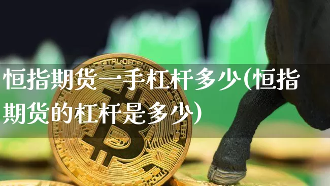 恒指期货一手杠杆多少(恒指期货的杠杆是多少)_https://m.zghnxxa.com_天然气期货_第1张