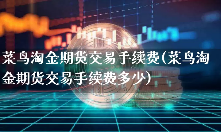 菜鸟淘金期货交易手续费(菜鸟淘金期货交易手续费多少)_https://m.zghnxxa.com_恒指期货_第1张