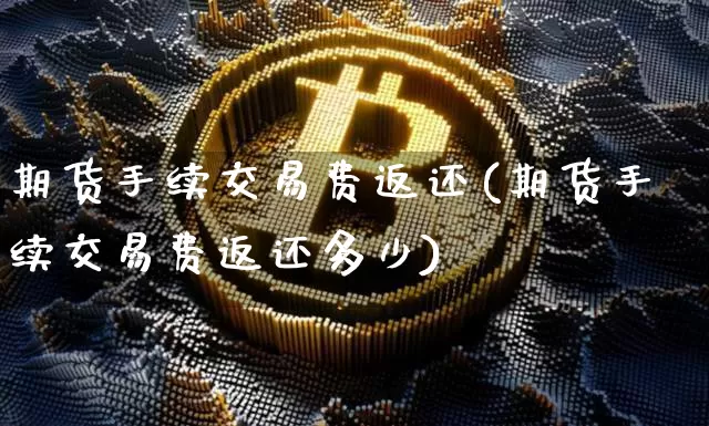 期货手续交易费返还(期货手续交易费返还多少)_https://m.zghnxxa.com_原油直播_第1张
