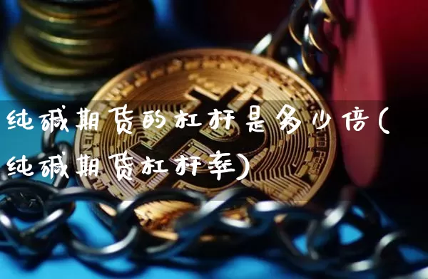 纯碱期货的杠杆是多少倍(纯碱期货杠杆率)_https://m.zghnxxa.com_原油直播_第1张
