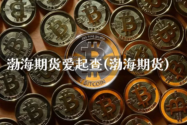 渤海期货爱起查(渤海期货)_https://m.zghnxxa.com_恒指期货_第1张