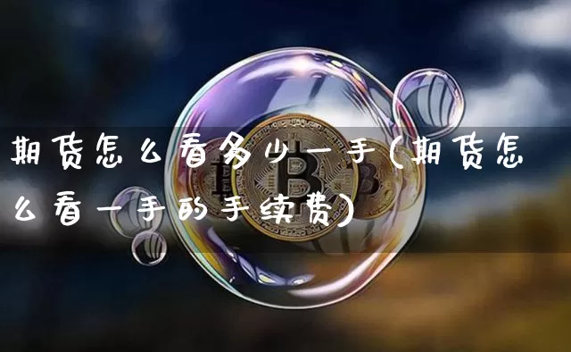 期货怎么看多少一手(期货怎么看一手的手续费)_https://m.zghnxxa.com_恒指期货_第1张