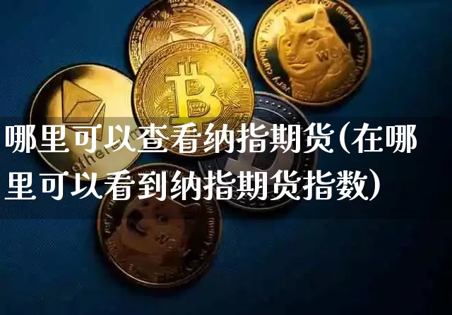 哪里可以查看纳指期货(在哪里可以看到纳指期货指数)_https://m.zghnxxa.com_黄金直播_第1张