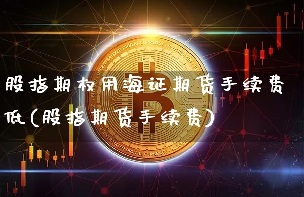 股指期权用海证期货手续费低(股指期货手续费)_https://m.zghnxxa.com_纳指期货_第1张