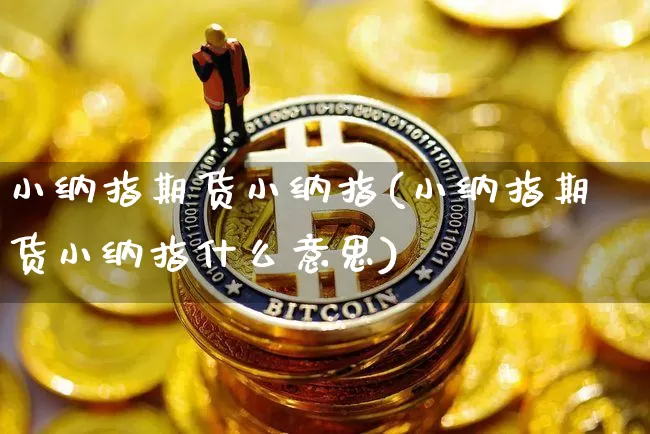 小纳指期货小纳指(小纳指期货小纳指什么意思)_https://m.zghnxxa.com_纳指期货_第1张