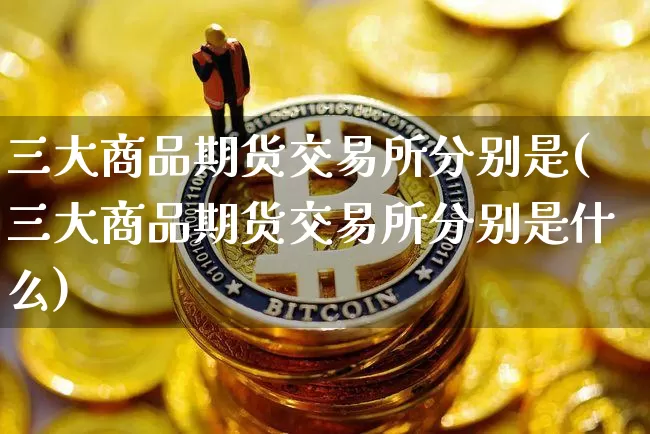 三大商品期货交易所分别是(三大商品期货交易所分别是什么)_https://m.zghnxxa.com_纳指期货_第1张