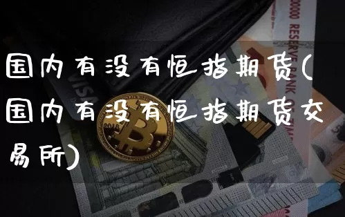 国内有没有恒指期货(国内有没有恒指期货交易所)_https://m.zghnxxa.com_期货资讯_第1张