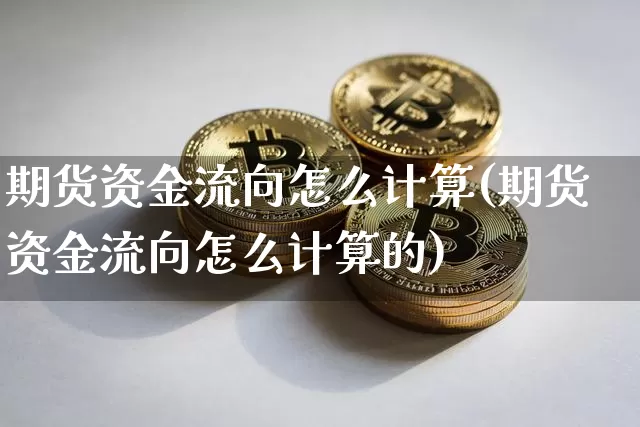 期货资金流向怎么计算(期货资金流向怎么计算的)_https://m.zghnxxa.com_天然气期货_第1张