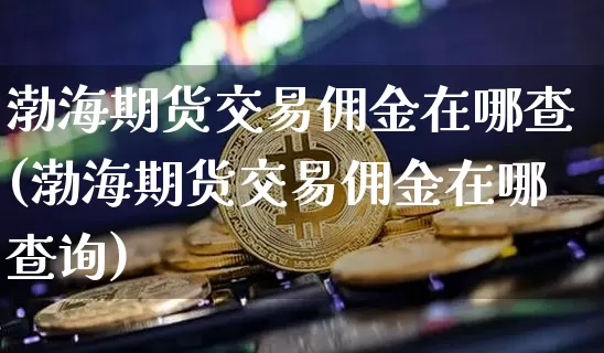 渤海期货交易佣金在哪查(渤海期货交易佣金在哪查询)_https://m.zghnxxa.com_期货资讯_第1张