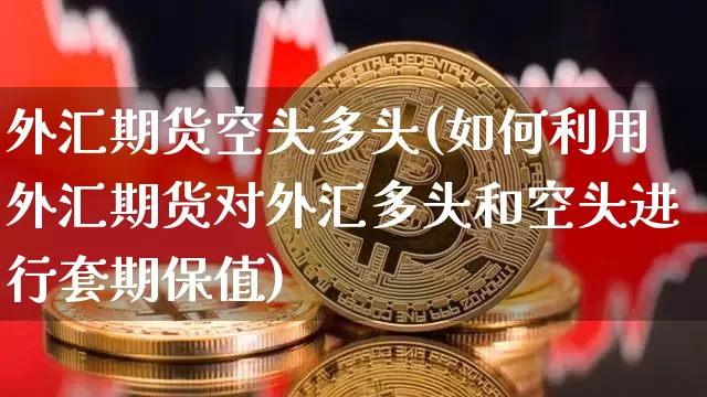 外汇期货空头多头(如何利用外汇期货对外汇多头和空头进行套期保值)_https://m.zghnxxa.com_纳指期货_第1张