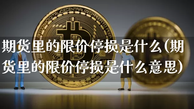 期货里的限价停损是什么(期货里的限价停损是什么意思)_https://m.zghnxxa.com_天然气期货_第1张