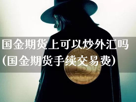 国金期货上可以炒外汇吗(国金期货手续交易费)_https://m.zghnxxa.com_股指期货_第1张