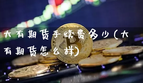 大有期货手续费多少(大有期货怎么样)_https://m.zghnxxa.com_股指期货_第1张