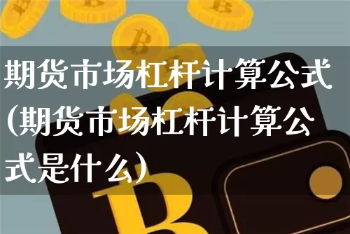 期货市场杠杆计算公式(期货市场杠杆计算公式是什么)_https://m.zghnxxa.com_恒指期货_第1张