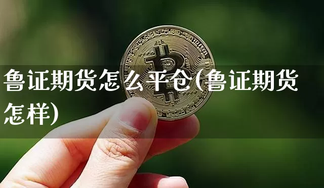 鲁证期货怎么平仓(鲁证期货怎样)_https://m.zghnxxa.com_天然气期货_第1张