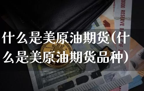 什么是美原油期货(什么是美原油期货品种)_https://m.zghnxxa.com_期货资讯_第1张