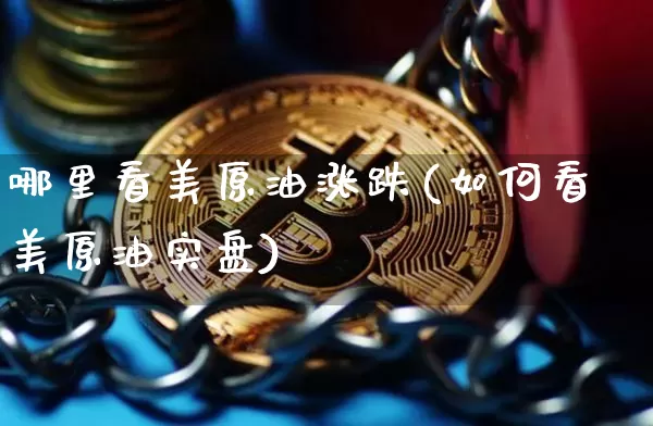 哪里看美原油涨跌(如何看美原油实盘)_https://m.zghnxxa.com_期货资讯_第1张