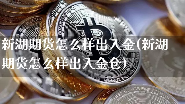 新湖期货怎么样出入金(新湖期货怎么样出入金仓)_https://m.zghnxxa.com_纳指期货_第1张