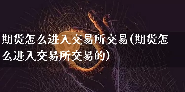 期货怎么进入交易所交易(期货怎么进入交易所交易的)_https://m.zghnxxa.com_期货资讯_第1张