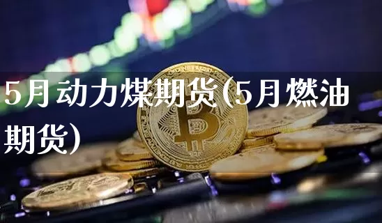 5月动力煤期货(5月燃油期货)_https://m.zghnxxa.com_纳指期货_第1张