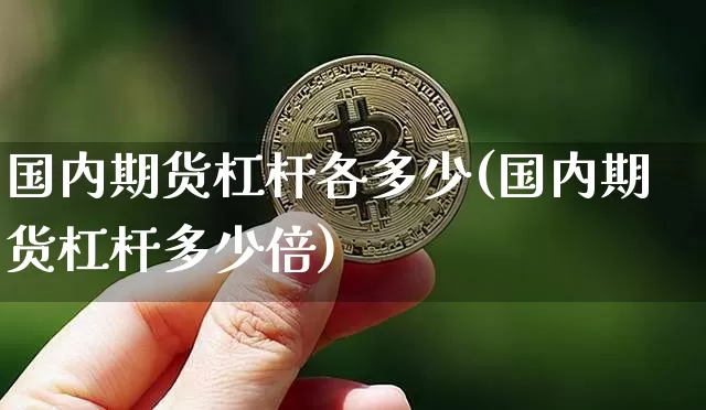 国内期货杠杆各多少(国内期货杠杆多少倍)_https://m.zghnxxa.com_纳指期货_第1张
