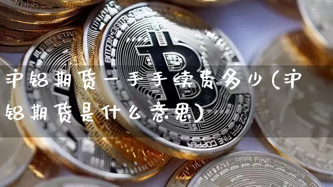 沪铝期货一手手续费多少(沪铝期货是什么意思)_https://m.zghnxxa.com_黄金直播_第1张