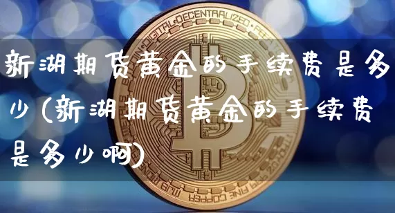 新湖期货黄金的手续费是多少(新湖期货黄金的手续费是多少啊)_https://m.zghnxxa.com_黄金直播_第1张