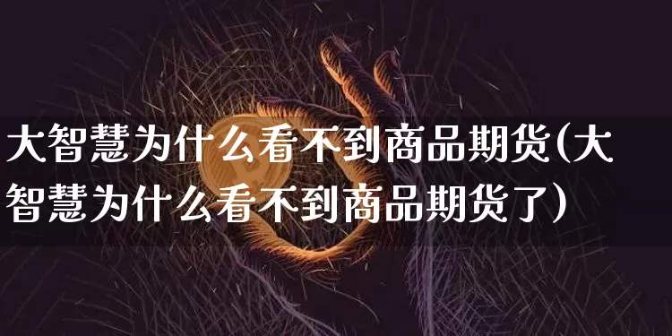 大智慧为什么看不到商品期货(大智慧为什么看不到商品期货了)_https://m.zghnxxa.com_期货资讯_第1张