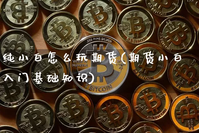 纯小白怎么玩期货(期货小白入门基础知识)_https://m.zghnxxa.com_期货资讯_第1张