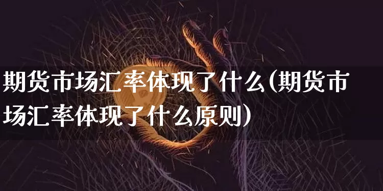 期货市场汇率体现了什么(期货市场汇率体现了什么原则)_https://m.zghnxxa.com_黄金直播_第1张
