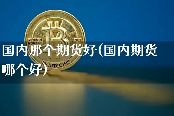 国内那个期货好(国内期货哪个好)_https://m.zghnxxa.com_期货资讯_第1张