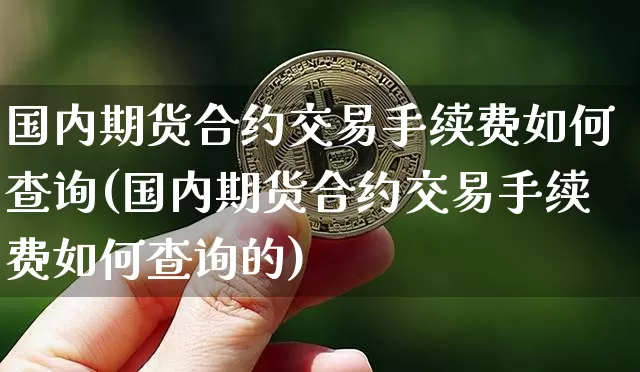 国内期货合约交易手续费如何查询(国内期货合约交易手续费如何查询的)_https://m.zghnxxa.com_原油直播_第1张