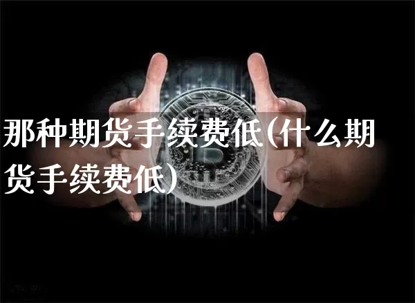那种期货手续费低(什么期货手续费低)_https://m.zghnxxa.com_恒指期货_第1张