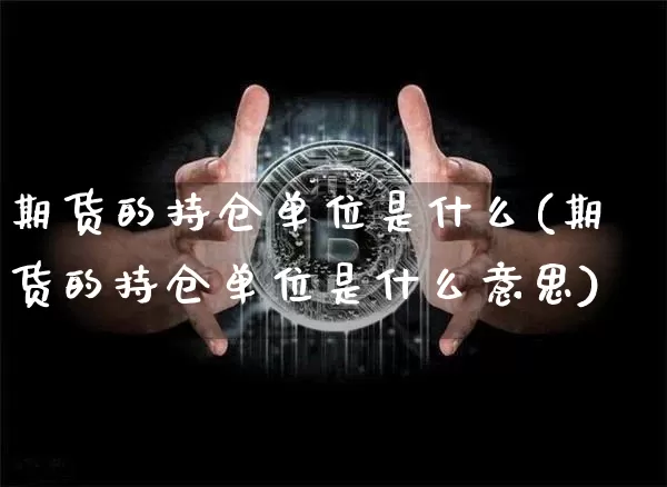 期货的持仓单位是什么(期货的持仓单位是什么意思)_https://m.zghnxxa.com_天然气期货_第1张